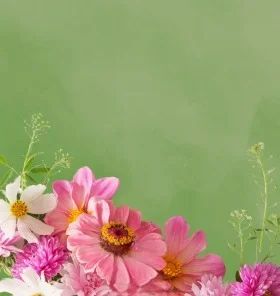 Flowers by Eva – trusted Portneuf Medical Center florist for beautiful flower delivery and arrangements